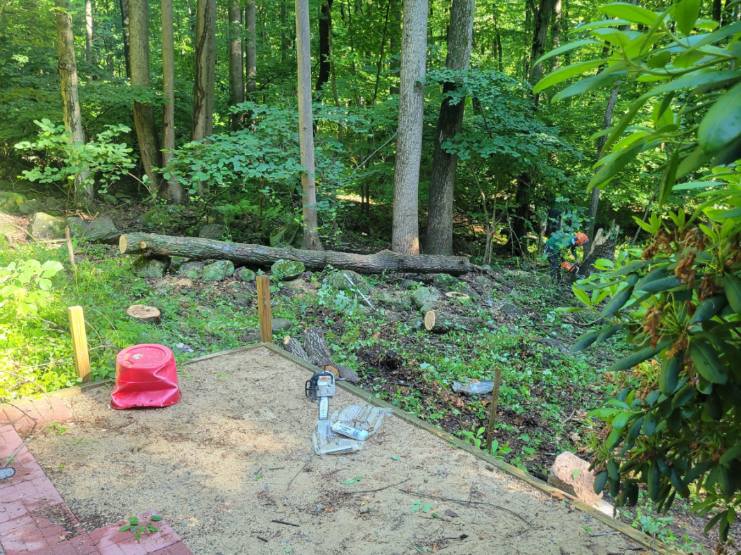 land clearing service near me